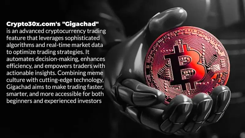 Crypto30x.Com Gigachad